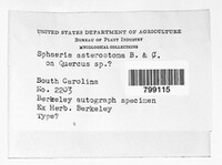 Image Associated With the Occurence